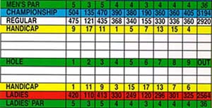 Golfcrd1.jpg (24264 bytes)