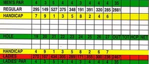 Golfcrd3.jpg (21515 bytes)